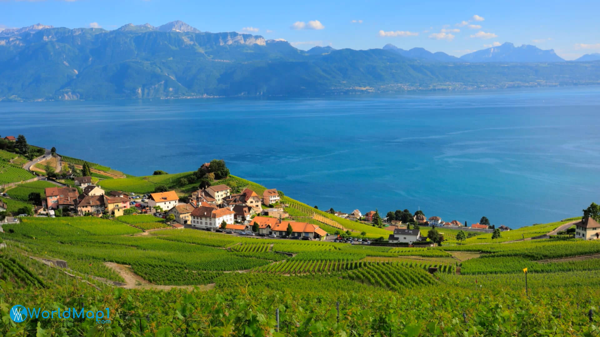 Lausanne Vineyards and Leman Lake